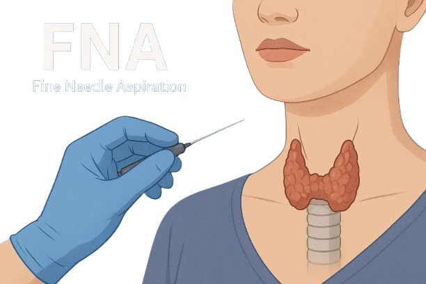 نمونه‌برداری تیروئید - FNA & Core Needle Biopsy